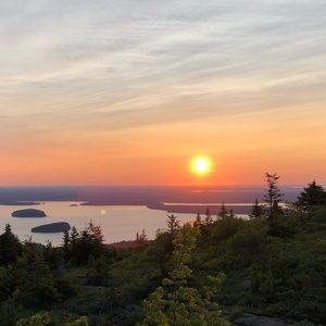 Meet your Posher, Joan